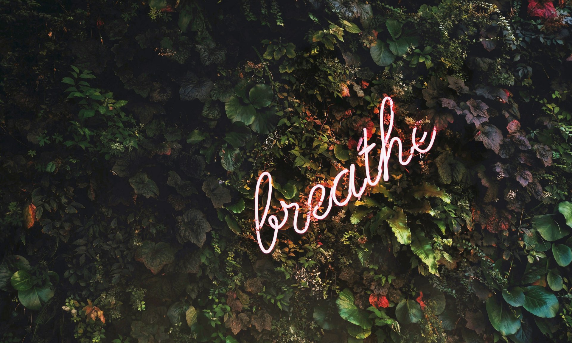 Rekuperace neboli zpětné získávání tepla